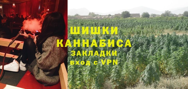 стаф Саяногорск